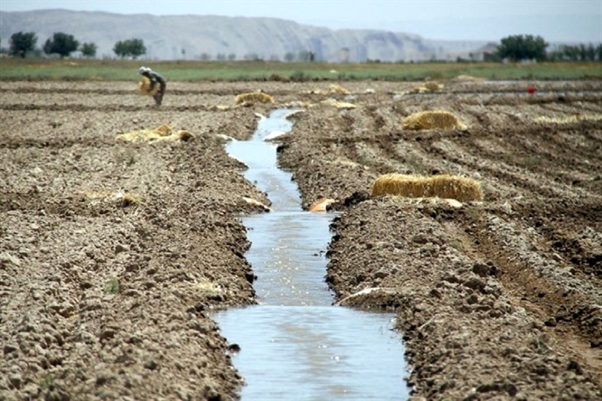 درصد اعتبارات وزارت جهاد کشاورزی در حوزه آب و خاک است