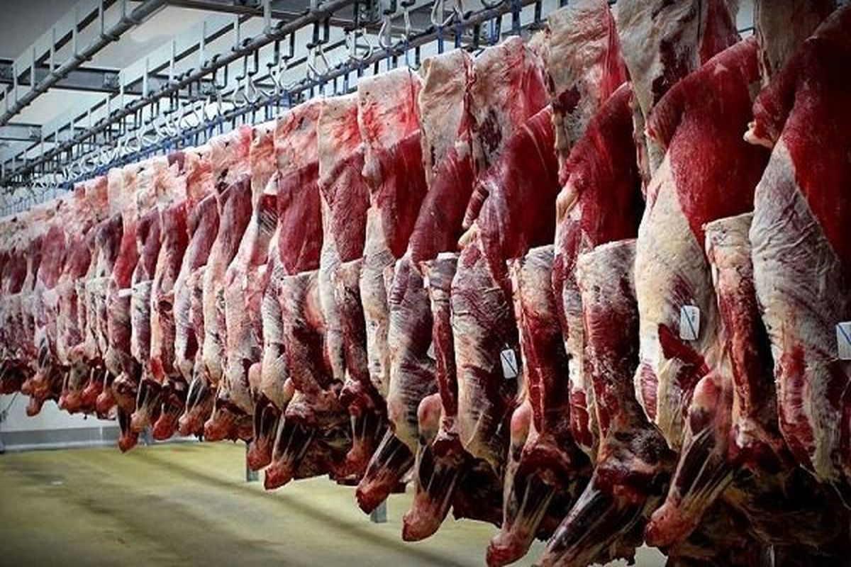 عرضه گوشت قرمز در مرداد امسال ۵درصد افزایش یافت