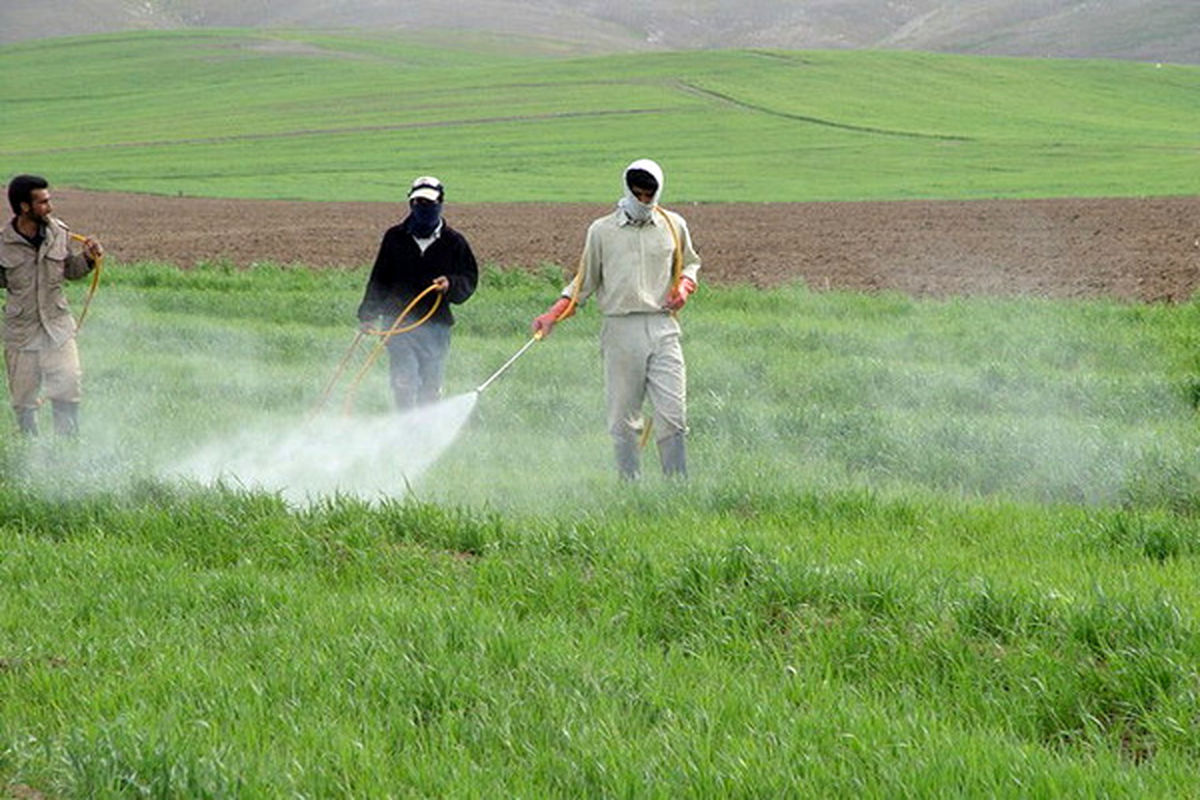 مصرف سالانه ۱۲۰۰ تن سموم کشاورزی در آذربایجان غربی