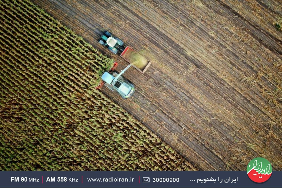 چالش‌های موجود کشاورزی در رادیو ایران