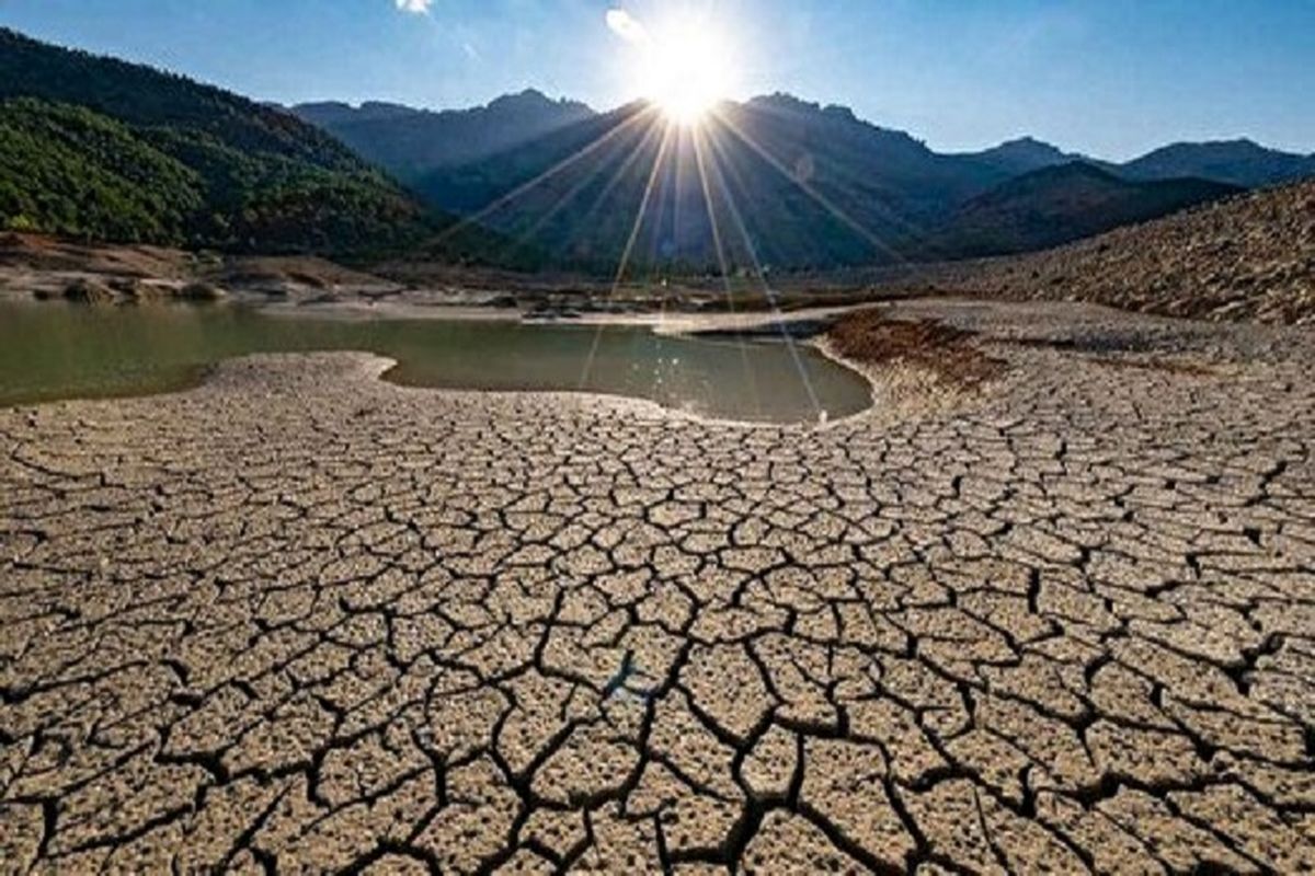 حذف چمن از فضای شهری؛ طرح آمریکایی‌ها برای مقابله با خشکسالی