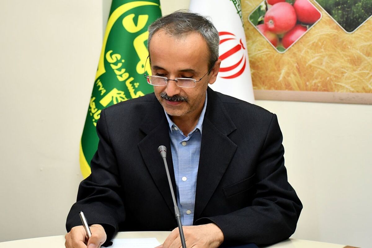 معرفی نخستین رقم بالنگوی شهری اصلاح شده در کشور