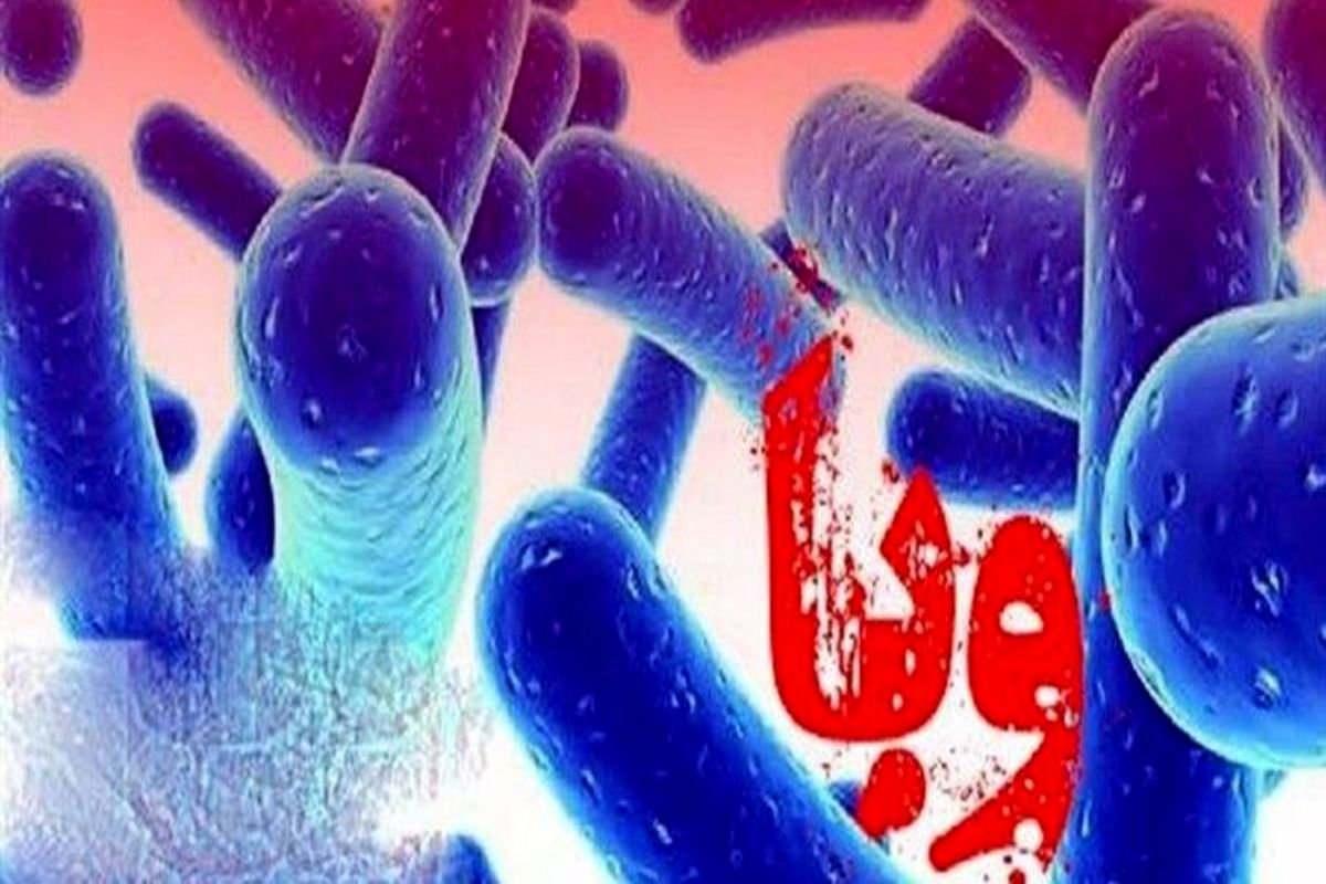 موردی از بستری بیمار مبتلا به وبا در مشهد گزارش نشده است