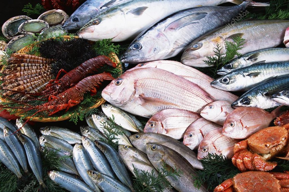 قیمت انواع ماهی در بازارهای میوه وتره بار چقدر است؟