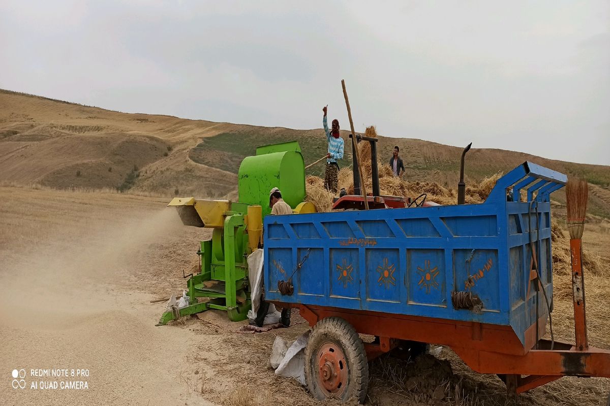 ۱۲ میلیون وپانصدهزار لیتر سوخت بخش کشاورزی در منطقه خراسان شمالی توزیع شد