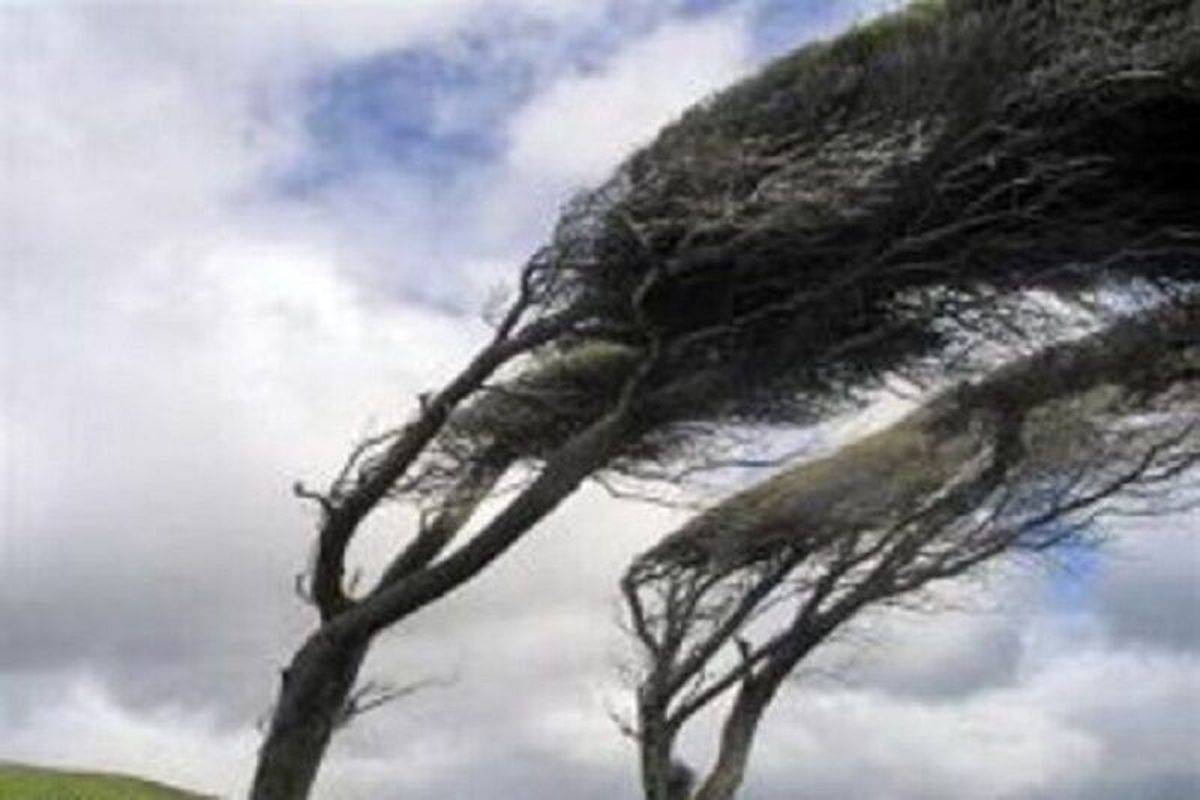 وزش باد شدید در زنجان