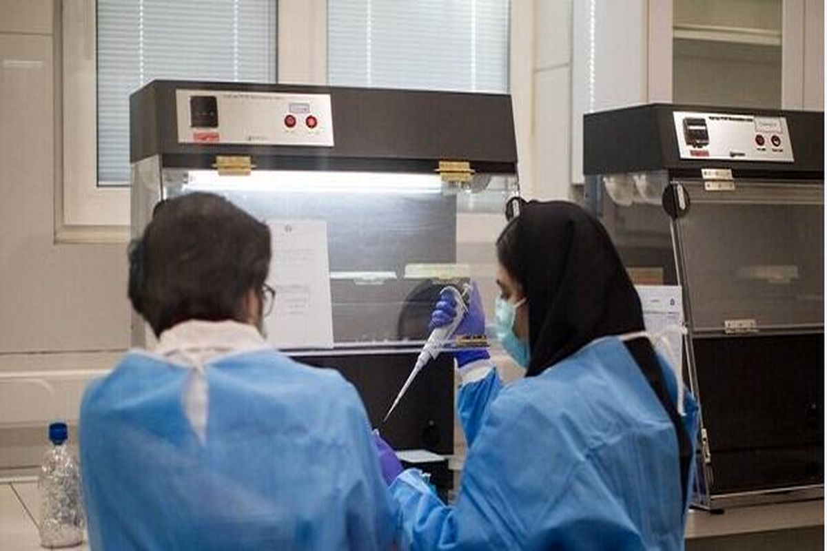 فعالیت شبکه آزمایشگاه‌های علمی ایران تا یک ماه آینده رسما آغاز خواهد شد