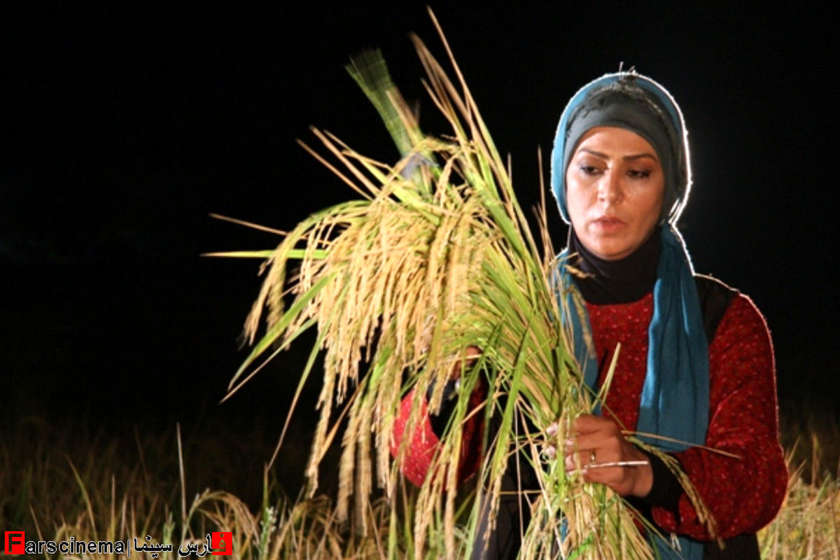 اتفاق ناگوار برای نسرین مقانلو