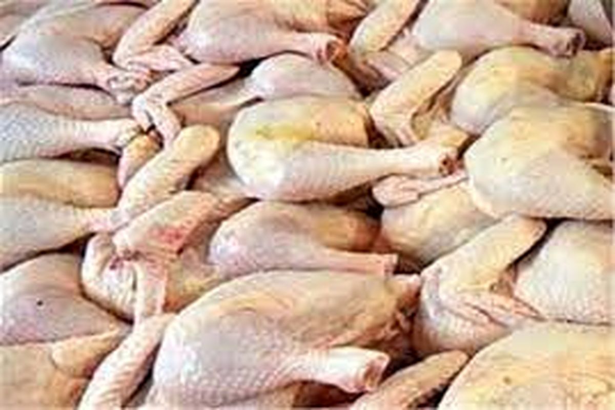 نیاز لرستان به تولید  ۴ هزار تن گوشت مرغ