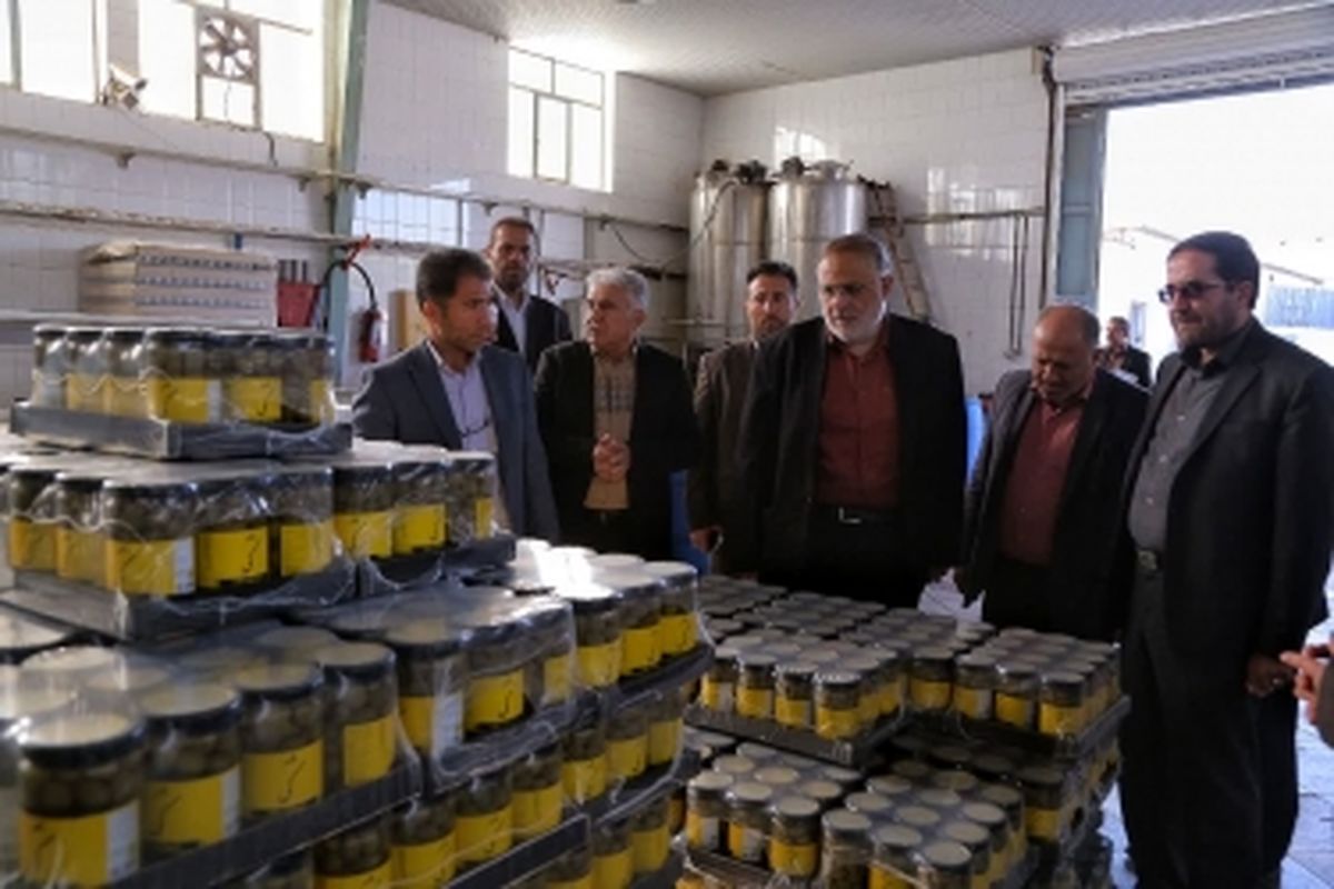 استاندار قزوین از واحد تولیدی گلستان زیتون بازدید کرد