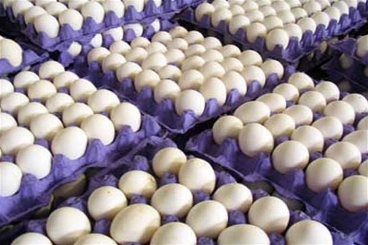 عرضه تخم مرغ بالاتر از ۹۰ هزار تومان گرانفروشی است