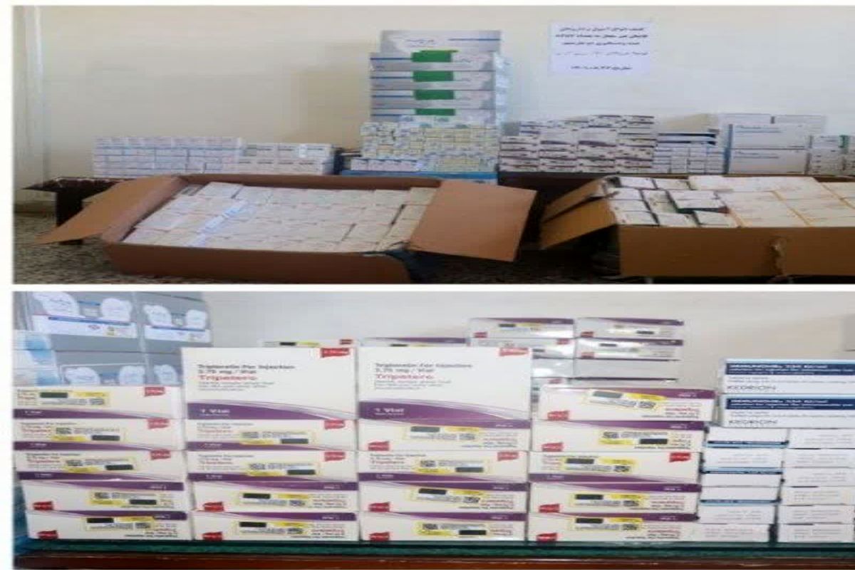 کشف بیش از ۸۰۰۰ قلم انواع داروی قاچاق توسط مرزبانان هنگ گرمی