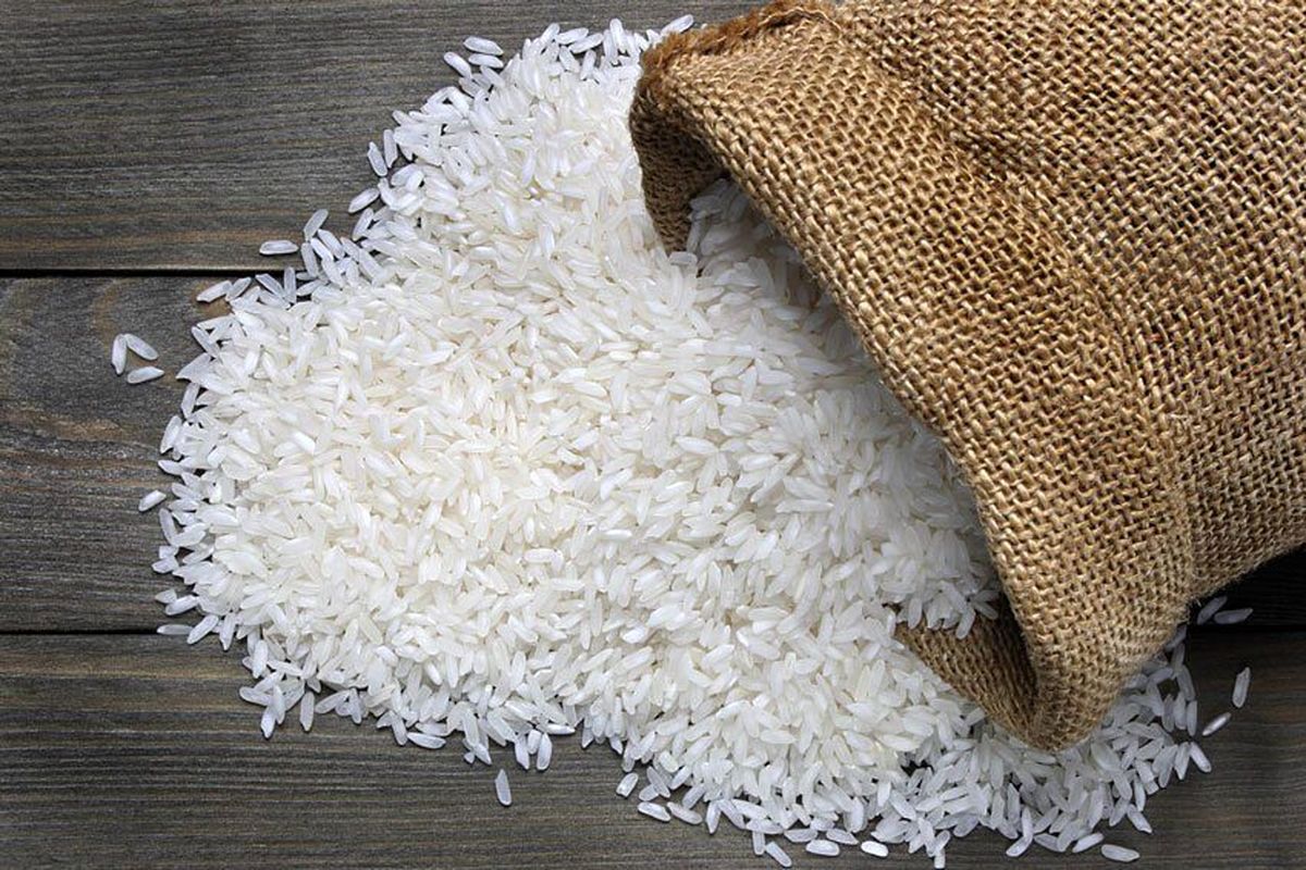 رونق معاملات برنج در بورس کالا با گشایش یک انبار جدید