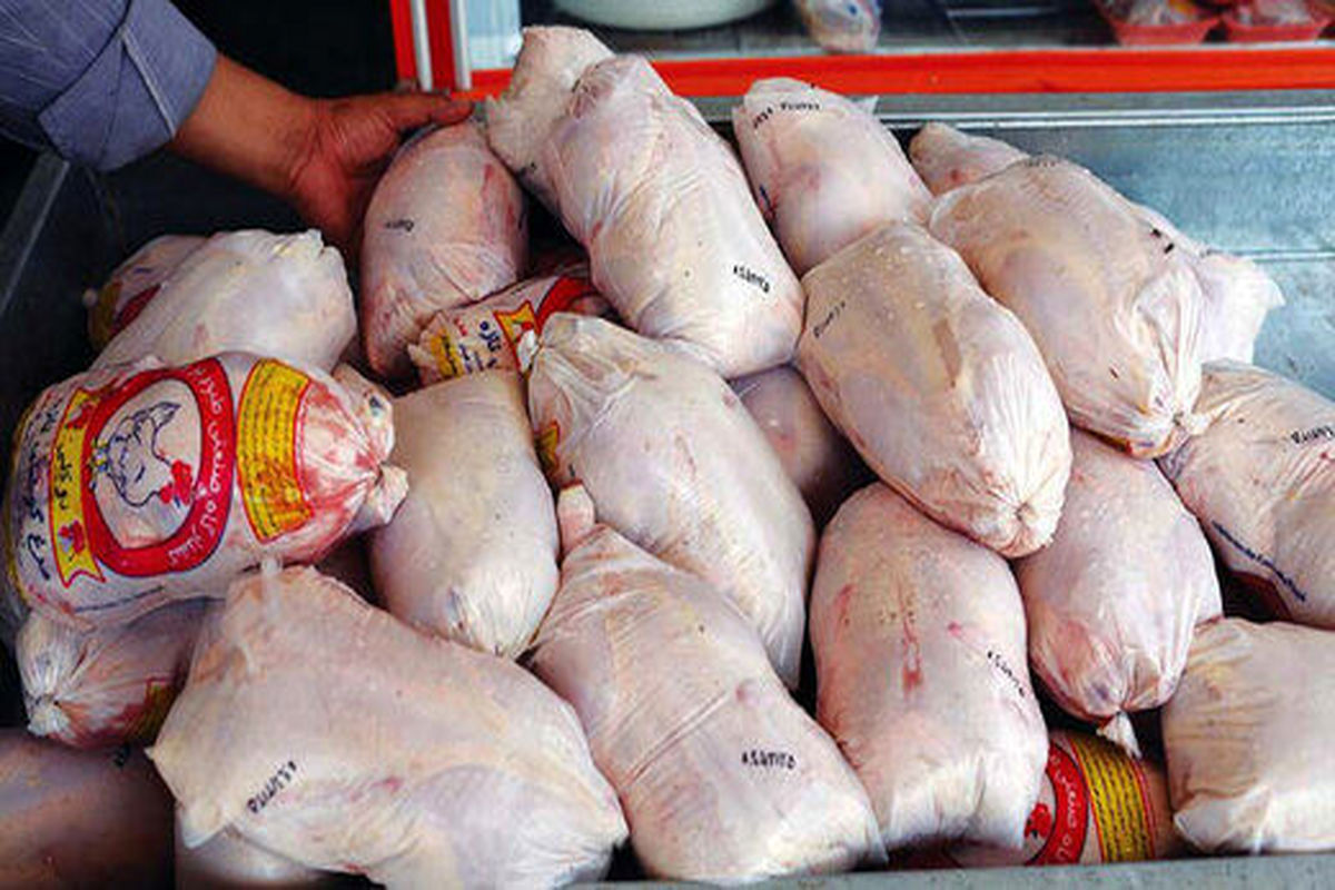 توزیع روزانه ۱۰۰۰ تن مرغ منجمد با قیمت ۴۵ هزار تومان آغاز شد+ جزئیات
