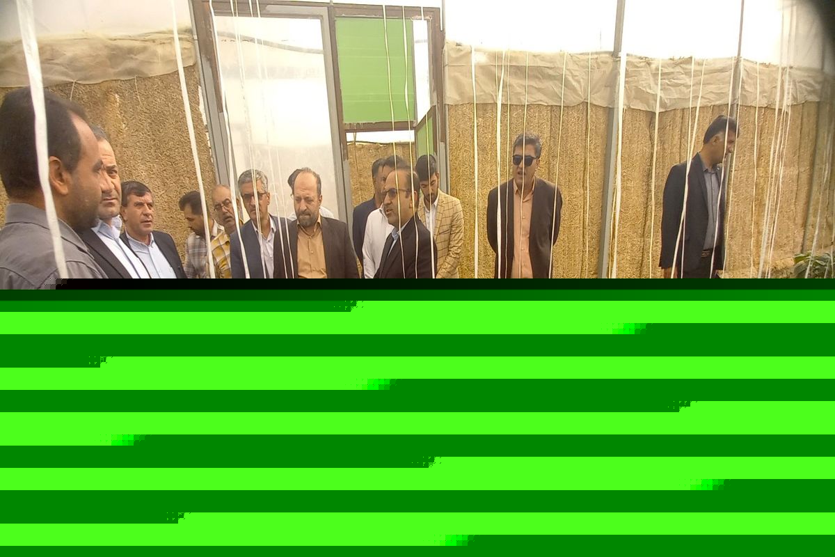 بخش کشاورزی نگین توسعه و اقتصاد باشت و گچساران / ۸۶ هکتار زیرساخت گلخانه‌ای در دستور کار است