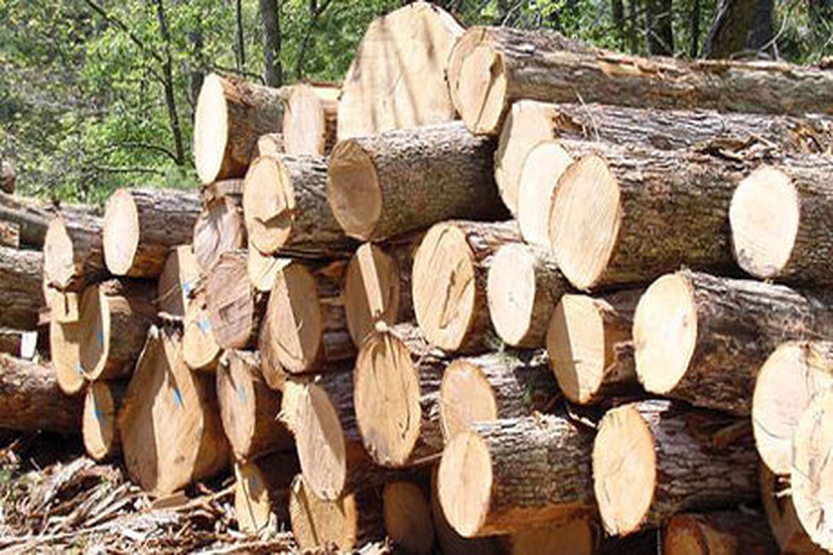 کشف ۱۸ تن چوب جنگلی قاچاق در دهلران