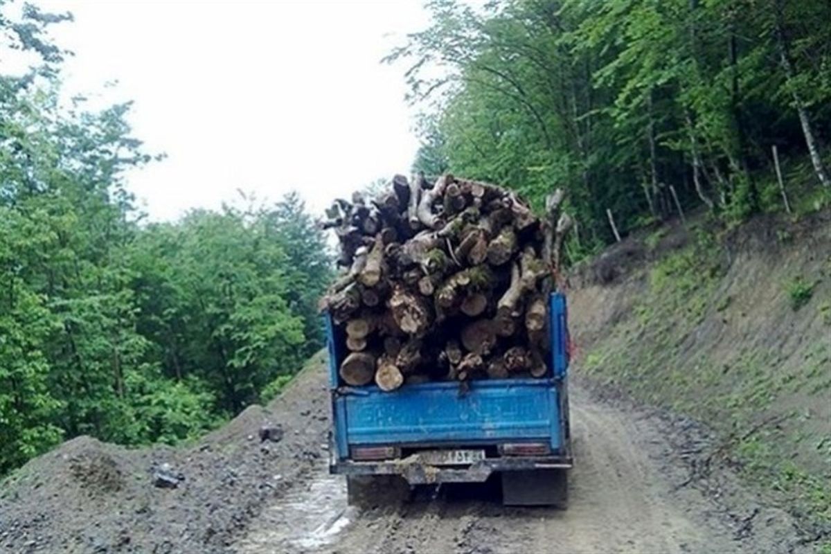 ساماندهی واردات چوب به کشور برای تامین نیاز صنایع و حفظ جنگل‌ها