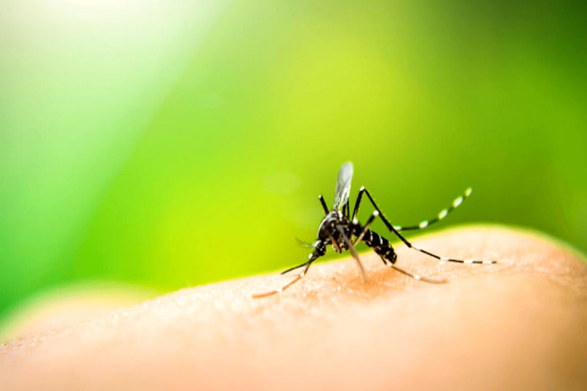 توسعه واکسن‌های mRNA برای مقابله با مالاریا