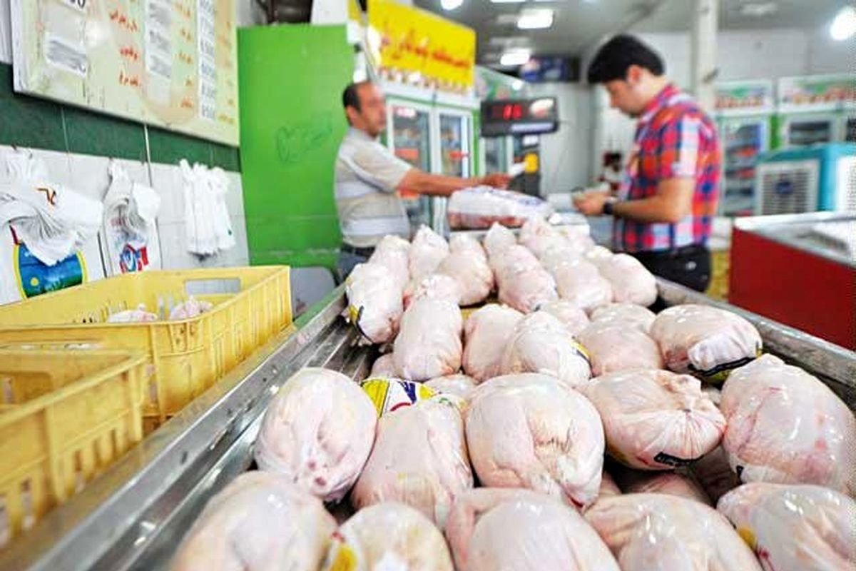 مشارکت مردم در تنظیم بازار تعادل را به بازار عرضه مرغ بازگرداند