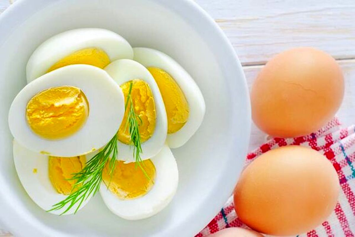 افزایش ۱۰۰ درصدی صادرات تخم‌مرغ خوراکی از استان مرکزی