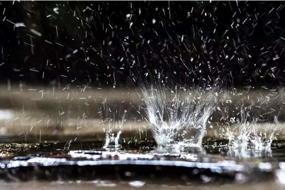 سرپرست سازمان منابع طبیعی: از آب باران به جای مصرف در تولید صیفی جات، در زراعت استفاده می‌کنیم