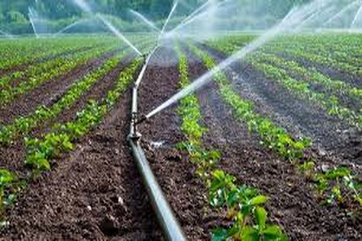 مصرف ۹۰ درصد آب کشور در بخش کشاورزی/ صرفه جویی در مصرف آب با توسعه آبیاری زیرسطحی