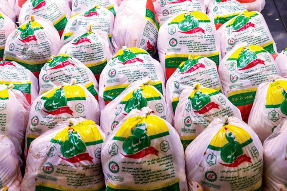 آغاز عرضه گسترده مرغ منجمد در هرمزگان/ بیش از ۱۲۰ تن مرغ منجمد در سردخانه‌های استان ذخیره شده است