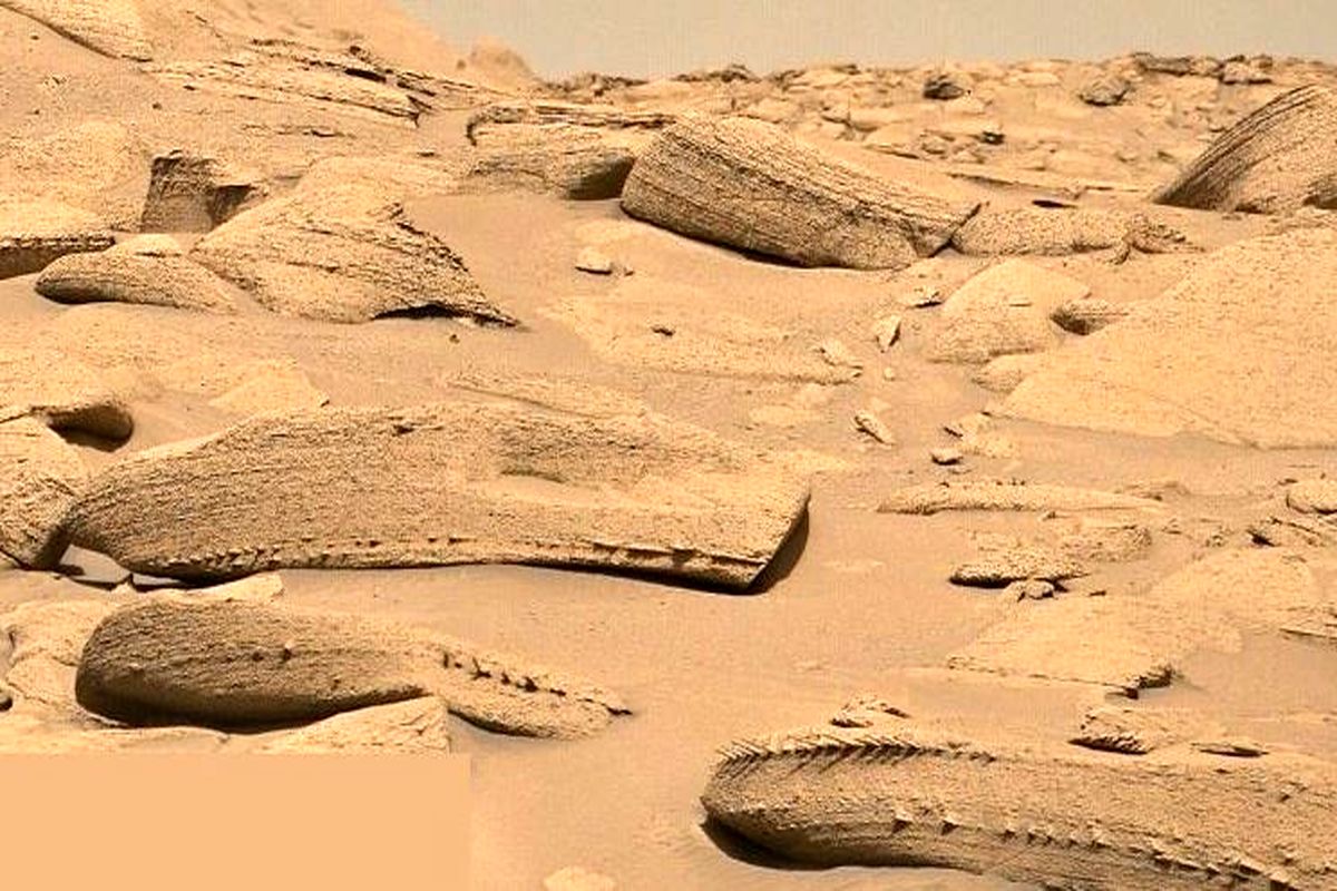 در مریخ استخوان اژدها پیدا شد