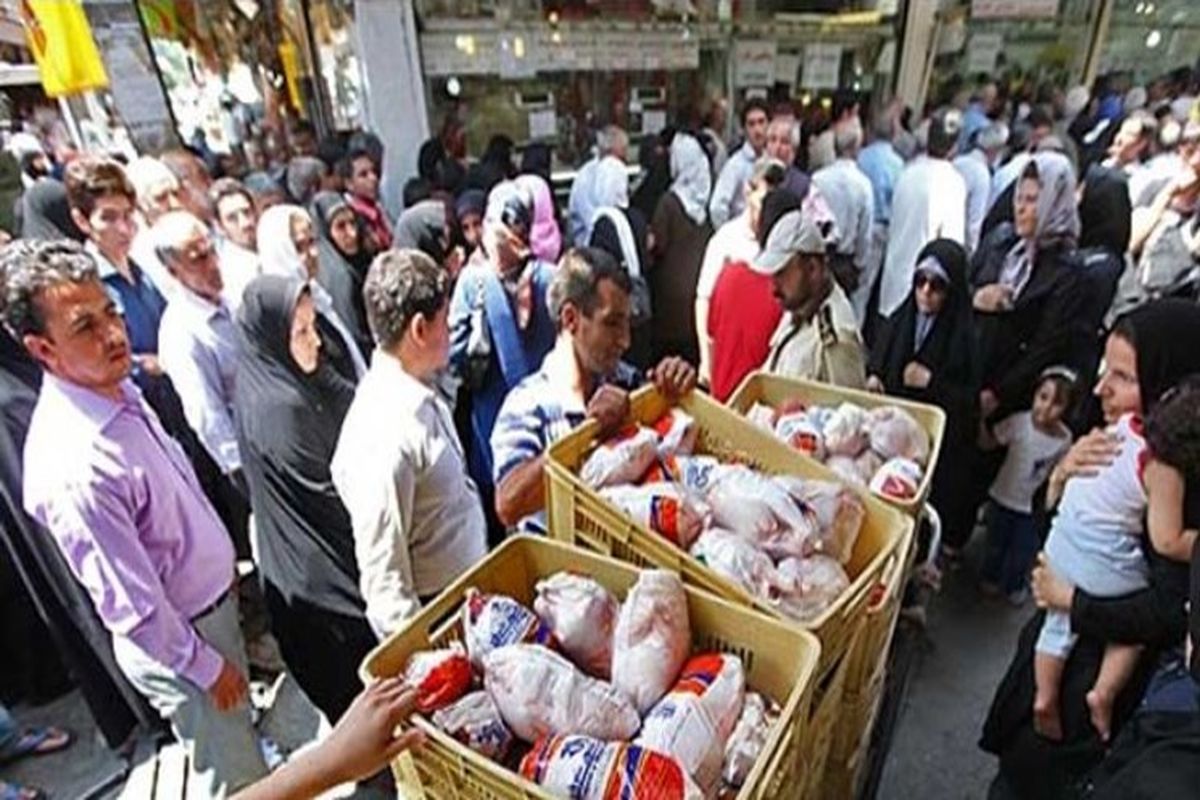 مشکلی برای تولید و عرضه مرغ در خوزستان وجود ندارد