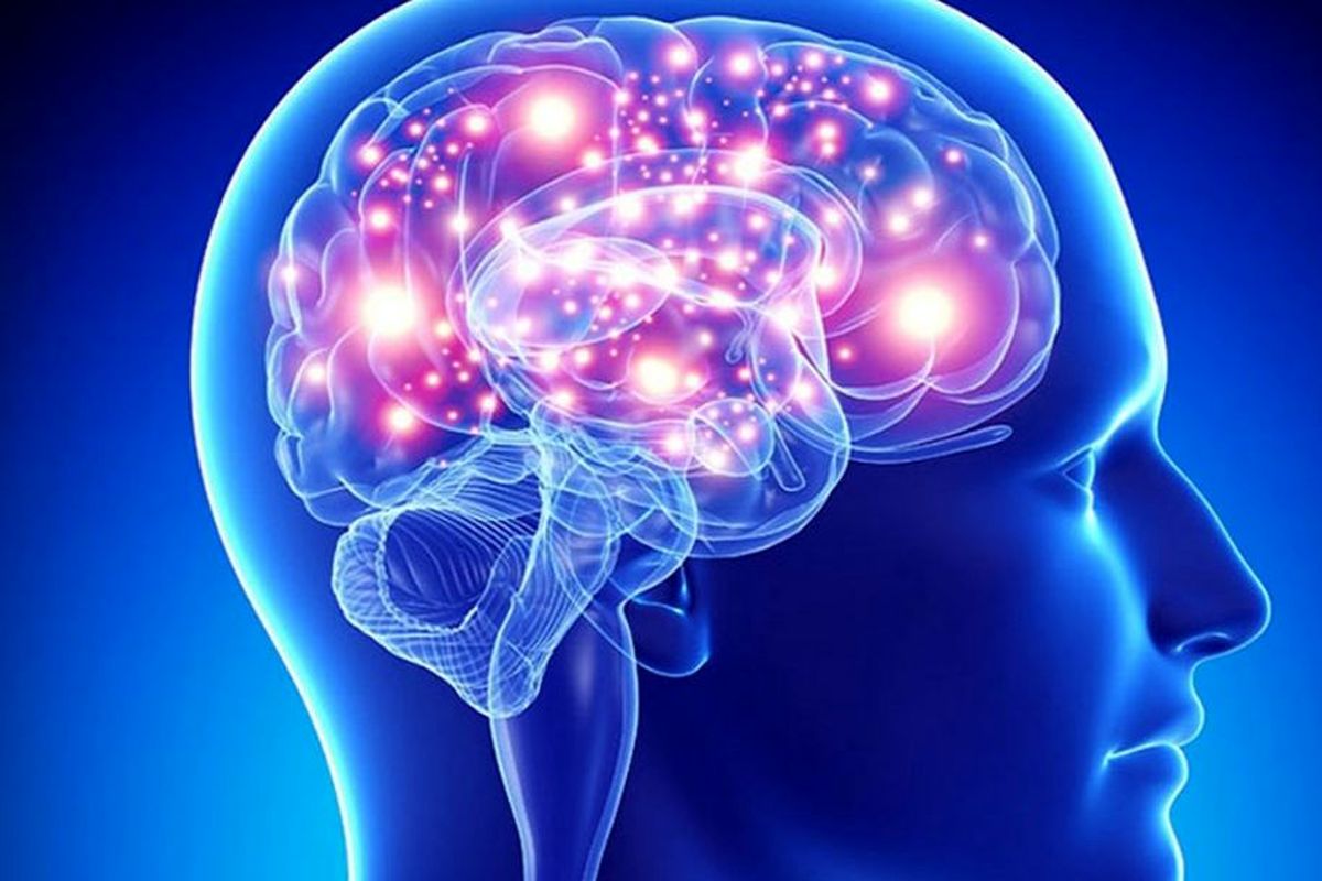 پیش بینی سن مغز با استفاده از یک روش رگرسیونی تجمیعی عمیق مبتنی بر چند اطلس مغزی