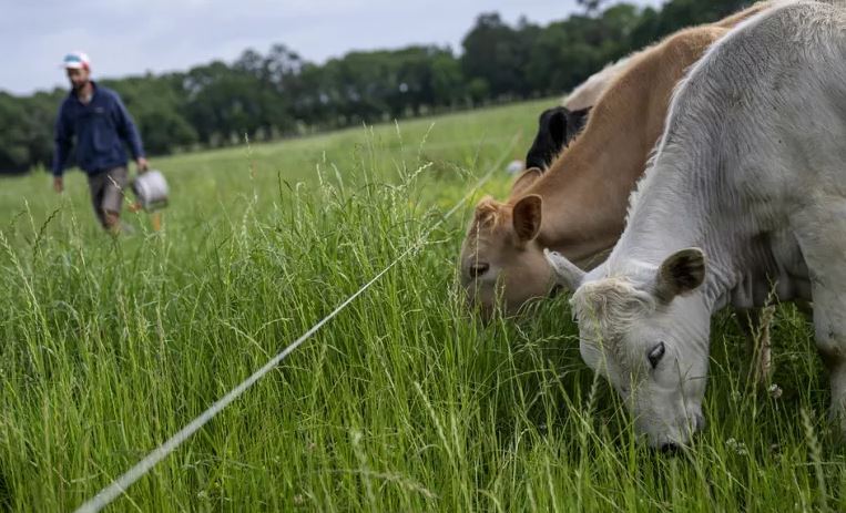 آینده زیست شناسی با هوش مصنوعی خلاقانه می شود