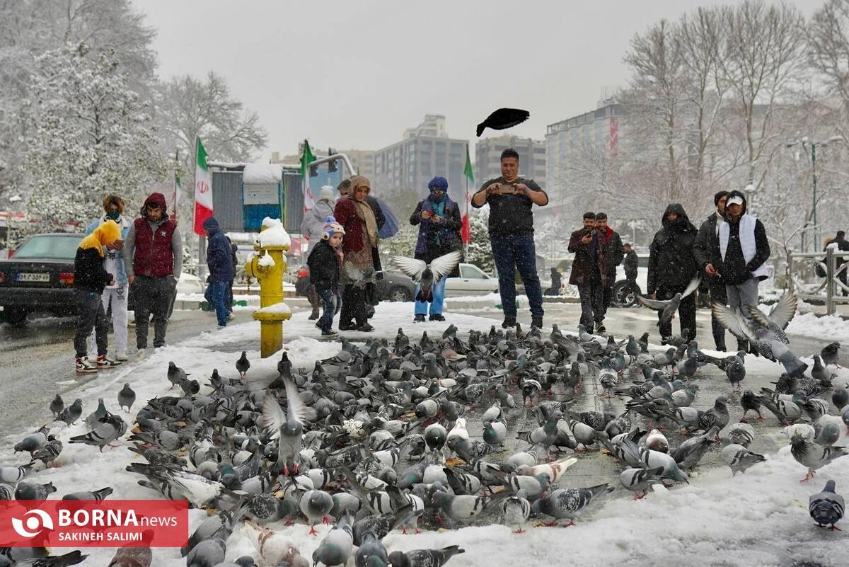 روز برفی تهران