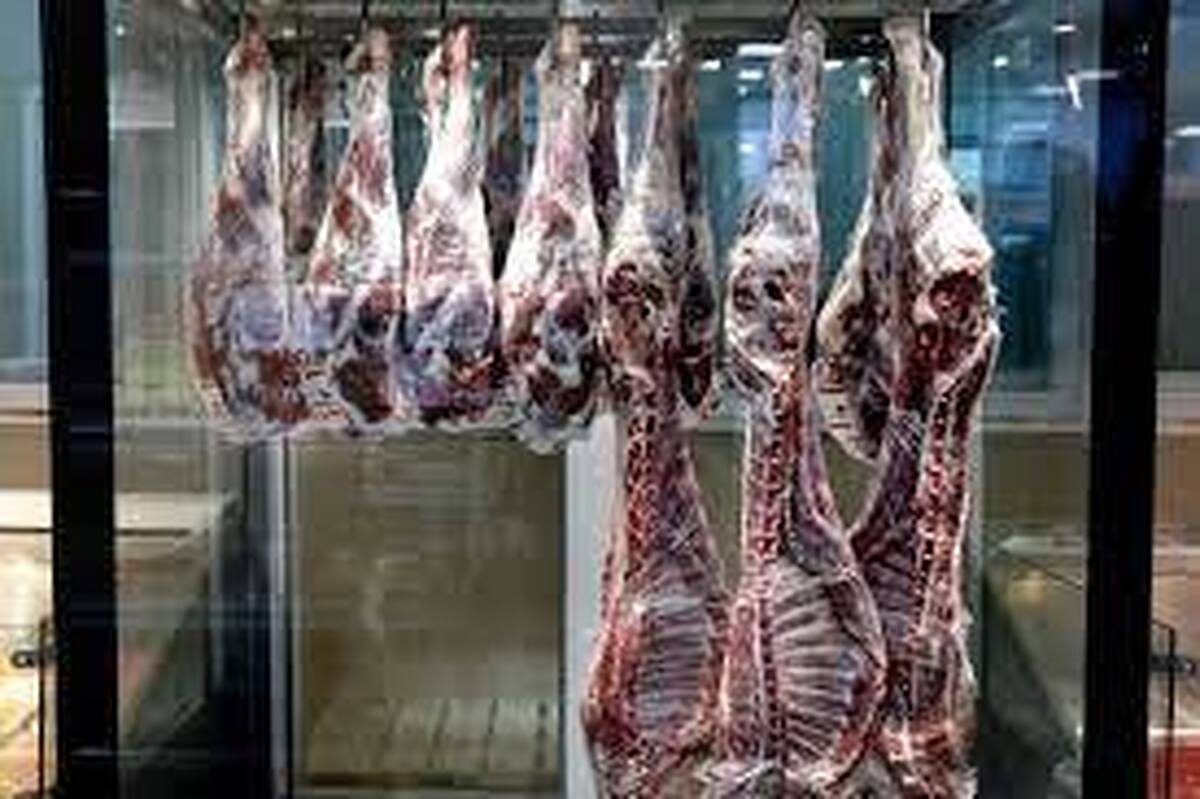 کارخانه فرآوری و بسته بندی گوشت قرمز در بوشهر راه اندازی شد