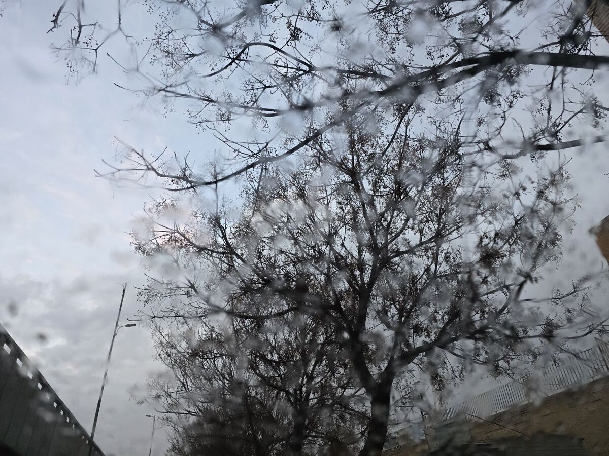 بارش رحمت الهی در کرمان