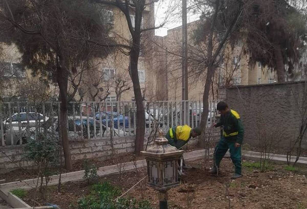 اجرای طرح کاشت نهال رایگان در منازل شهروندان منطقه 2 تهران