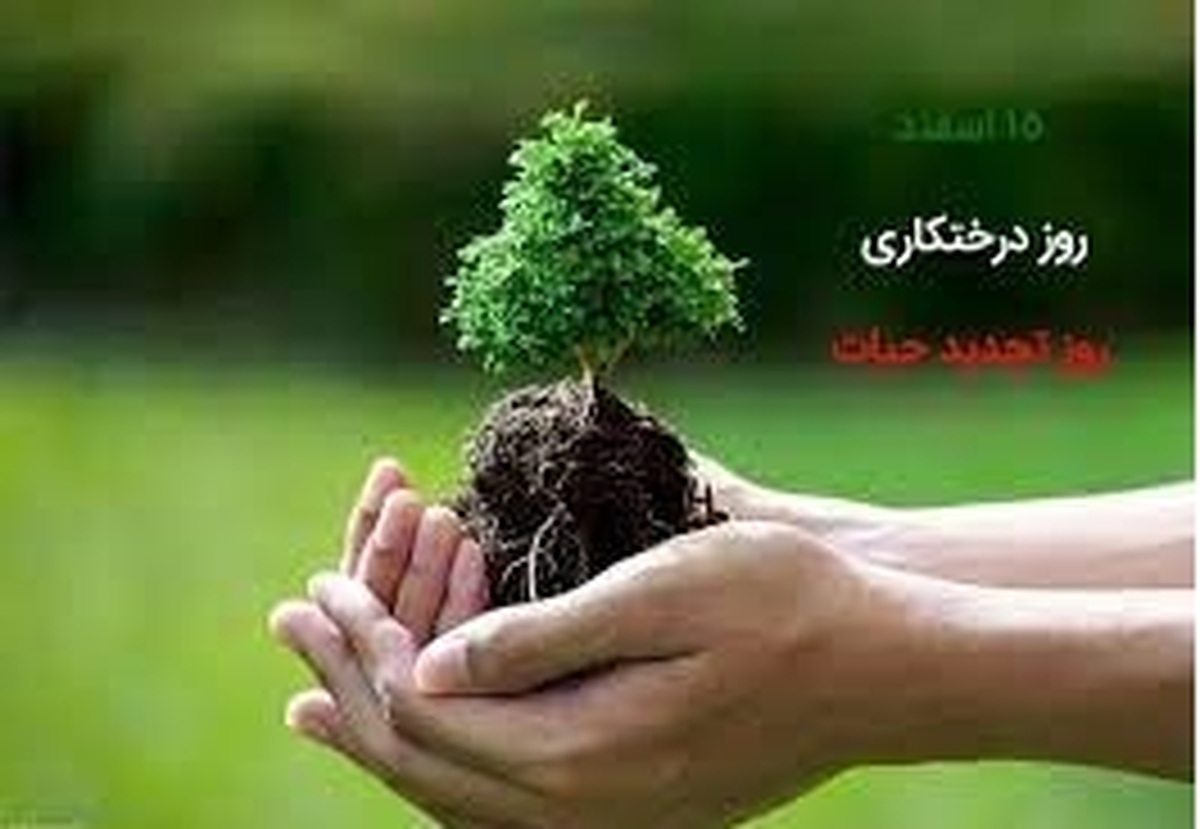 روز درختکاری در ایران و اهمیت درختکاری در اسلام