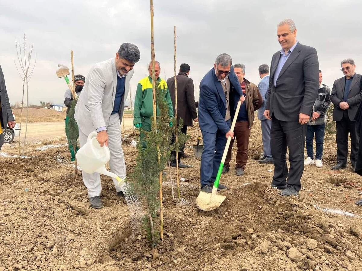 آغاز پویش مردمی کاشت 46 هزار اصله نهال در شهر گرگان