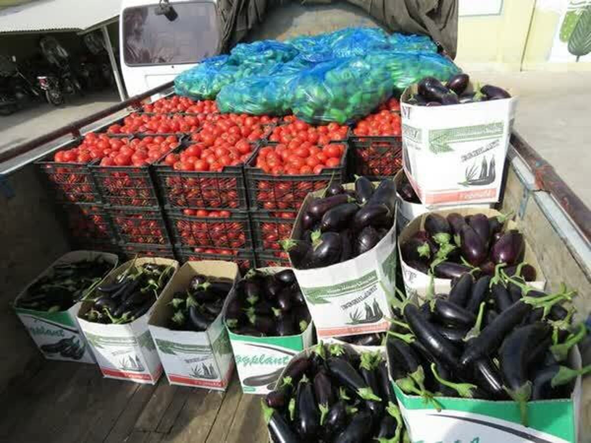 تریاک های بادمجانی کشف شد