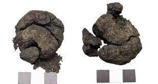 راز قدیمی‌ترین نان مخمری جهان برملا شد