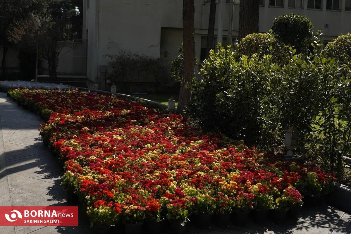 در حاشیه جلسه هیات دولت