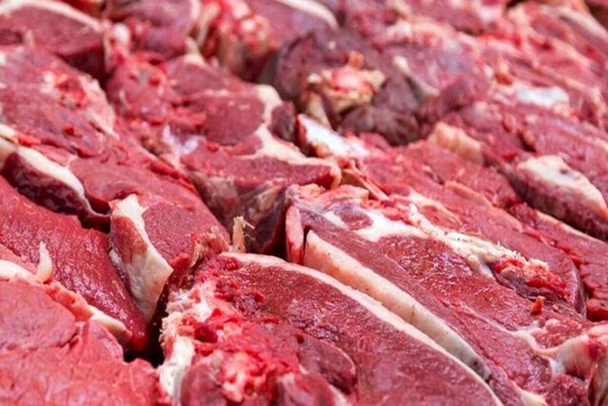 عرضه گوشت قرمز در کشتارگاه‌های رسمی کشور در بهمن ۱۴۰۲ به ٣٣٫١ هزار تن رسید