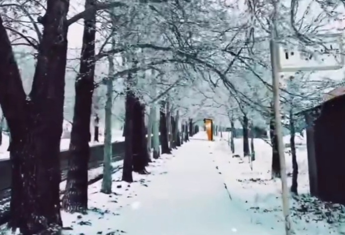 رخت سفید بر تن شهرک سرچشمه در رفسنجان + فیلم