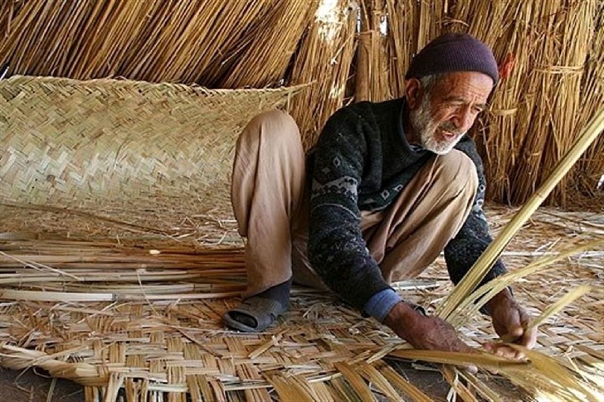 مجوز واردات گیاه "لوئی" از افغانستان صادر شد