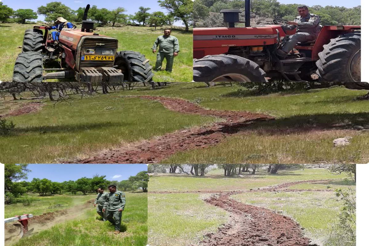 ایمن سازی پارک ملی و منطقه حفاظت شده دنا از خطر آتش