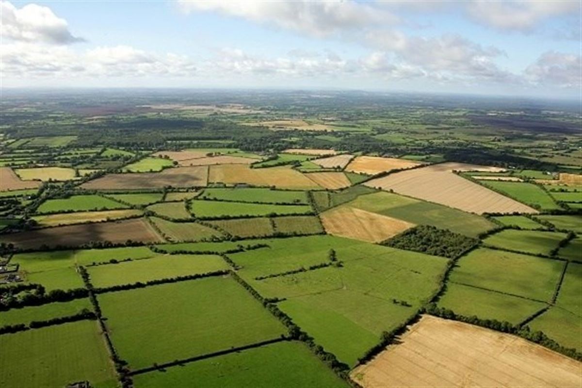 پیش‌بینی سنددار شدن ۵۰ درصد اراضی زراعی کشور تا پایان امسال