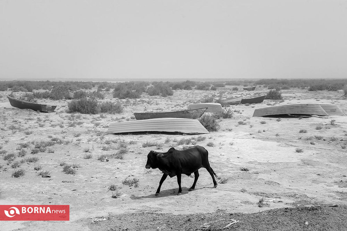 خشکسالی شدید یک روستا در هیرمند