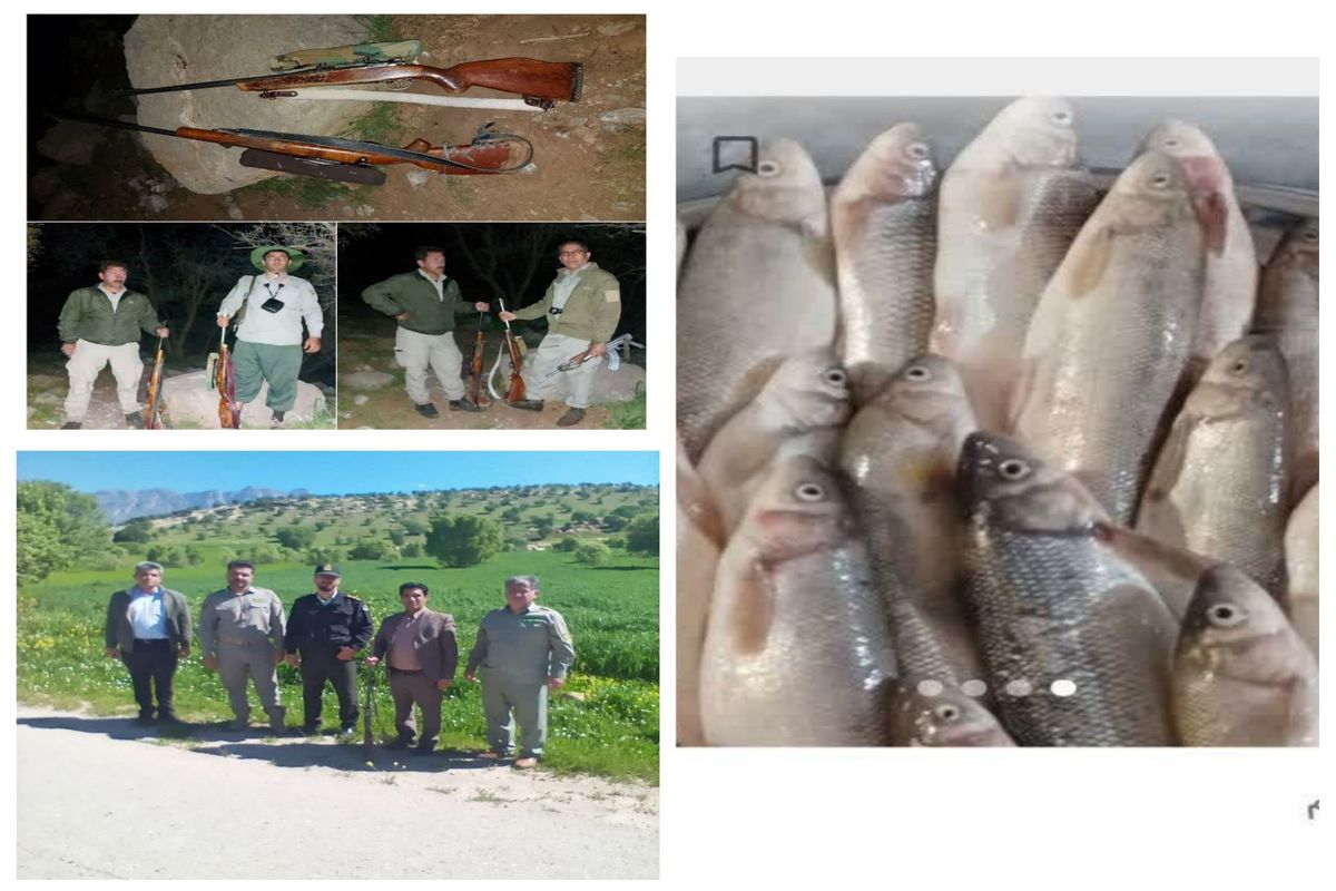 دستگیری ۶ متخلف شکار و صید در لرستان