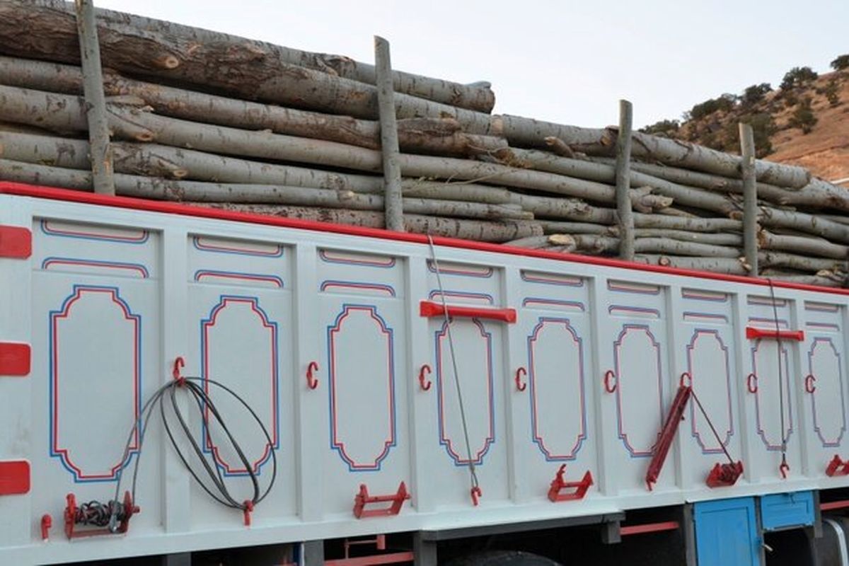 ۵ تن چوب قاچاق در شهرستان دهلران توقیف شد