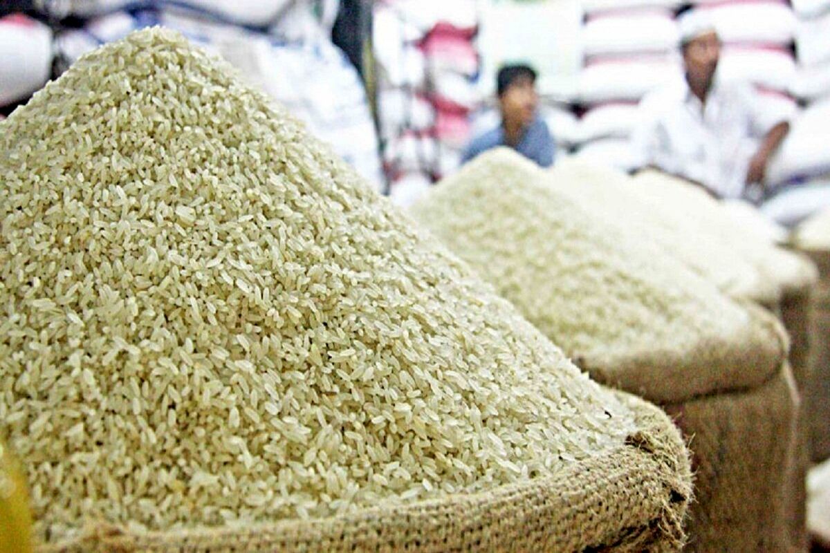 آغاز خرید توافقی ارقام محلی برنج