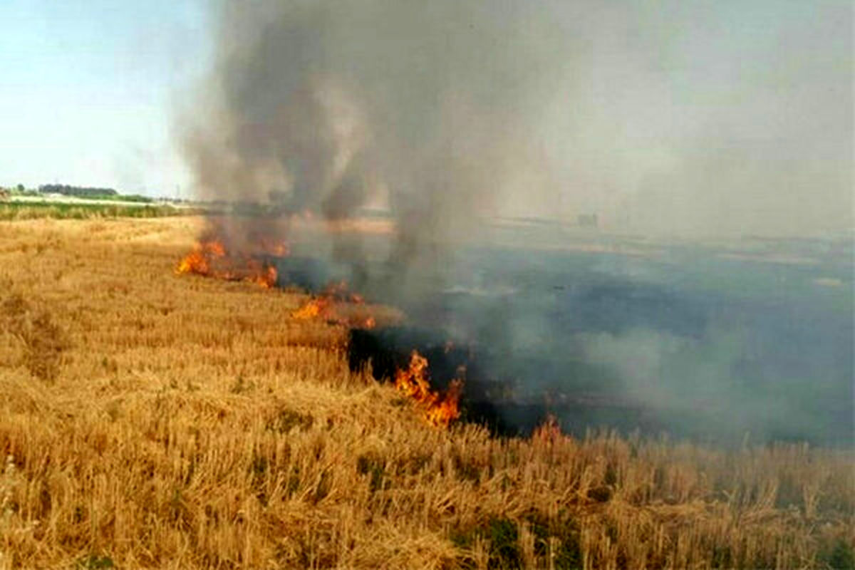 آتش سوزی در ۳۵ هکتار از  مزارع خرم آباد